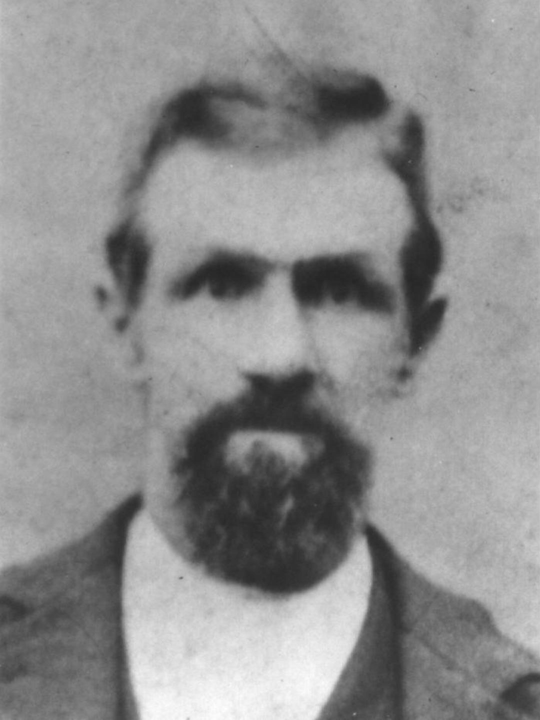 Samuel Wolfli (1838 - 1900) Profile